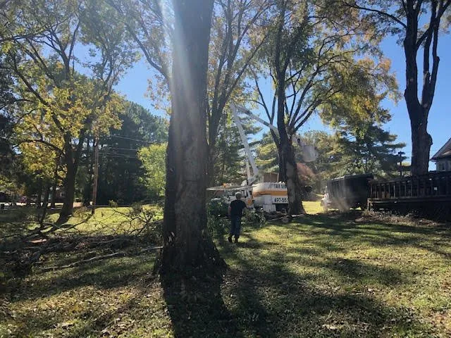 Top-rated landscape installation for residential properties in Cottontown, TN by JB's Tree Service