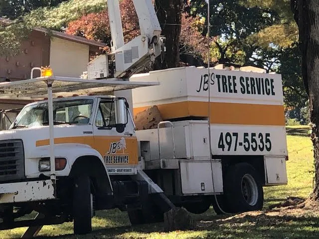 Top-rated residential landscaping in Cottontown, TN - JB's Tree Service