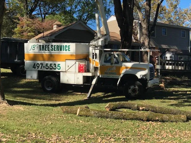 Affordable outdoor landscaping for outdoor upgrades in Cottontown, TN by JB's Tree Service