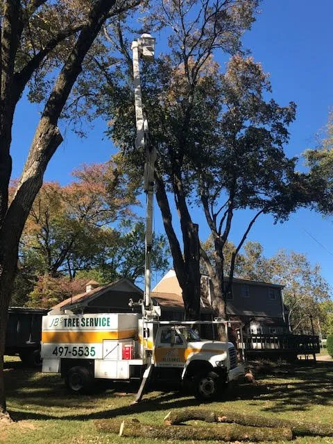 Trusted yard maintenance for residential properties across Cottontown, TN - JB's Tree Service