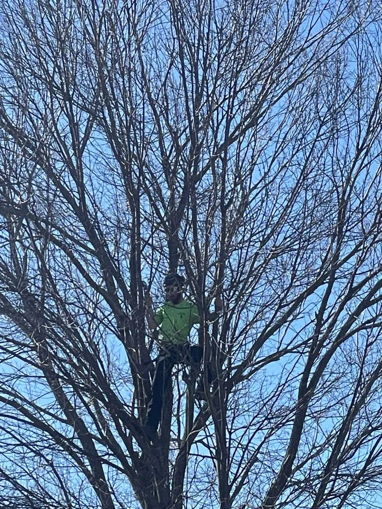 Custom yard cleanup service in Springfield, MO by JB’s Yard Care