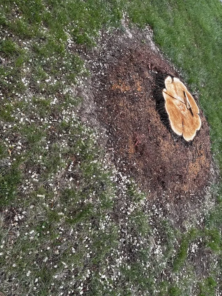 Custom garden landscaping with custom design in Springfield, MO by JB’s Yard Care