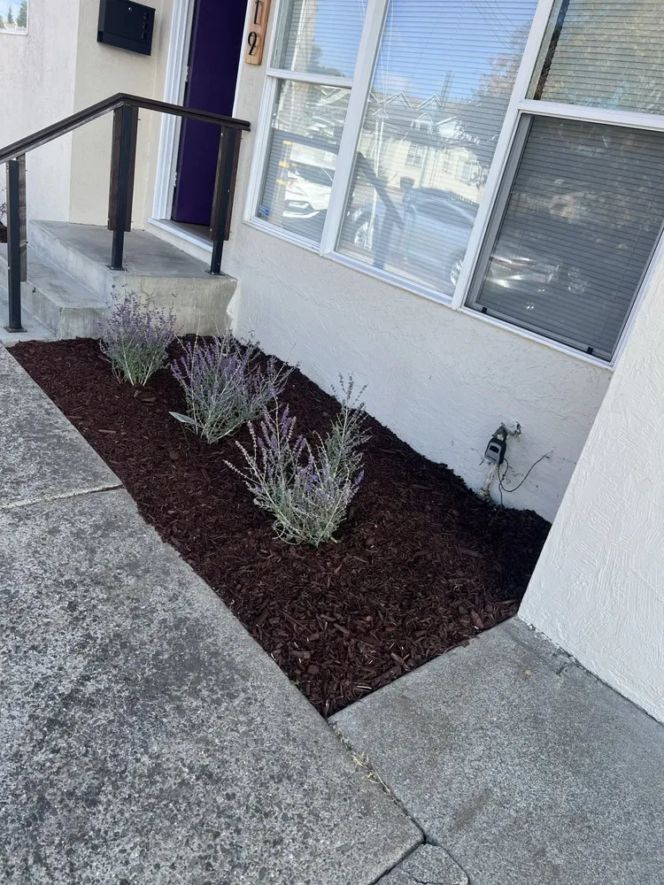 Local landscape design in Hayward, CA - JB,s Yard Service Landscaping