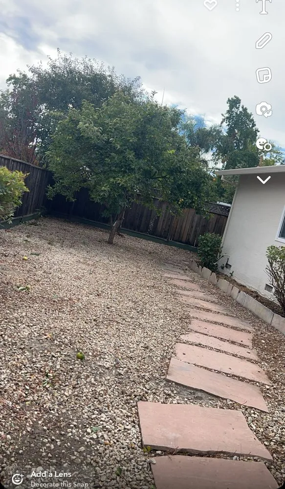 Custom yard cleanup service in Hayward, CA by JB,s Yard Service Landscaping