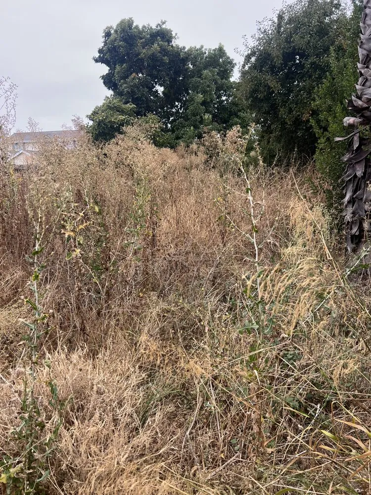 Custom lawn mowing service experts serving Hayward, CA - JB,s Yard Service Landscaping