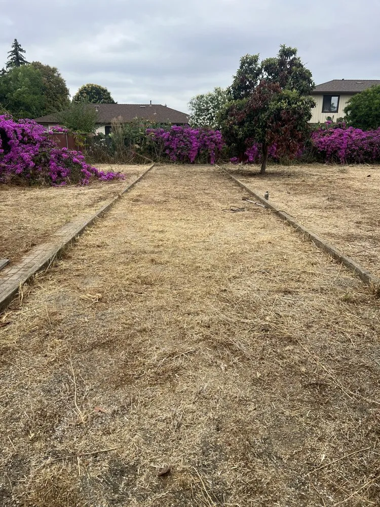 Custom landscaping services experts serving Hayward, CA - JB,s Yard Service Landscaping