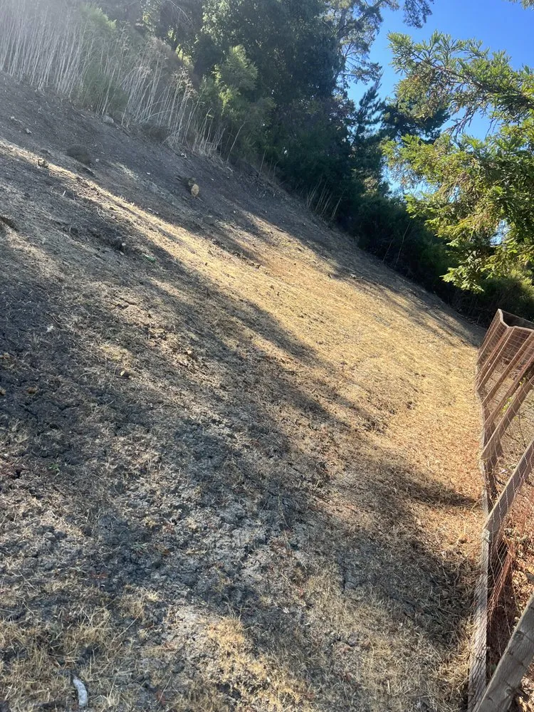 Professional landscape installation experts serving Hayward, CA - JB,s Yard Service Landscaping