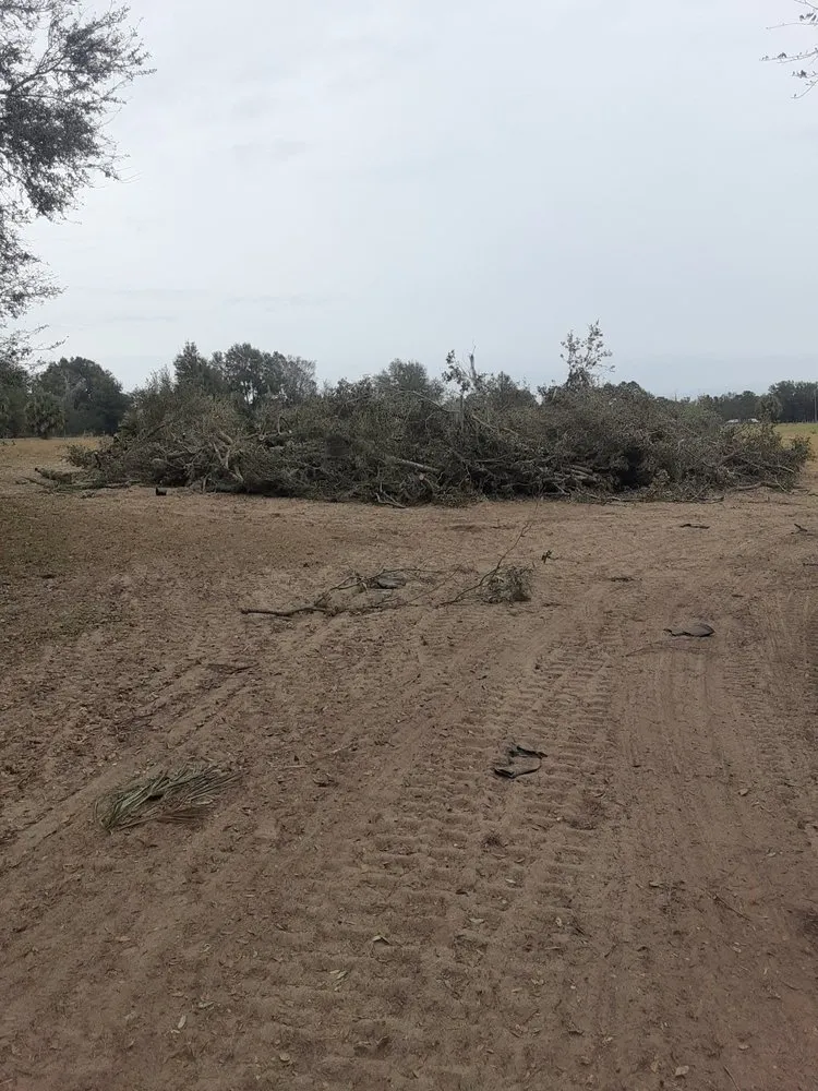 Trusted lawn care service with custom design in Wauchula, FL by JBT land services