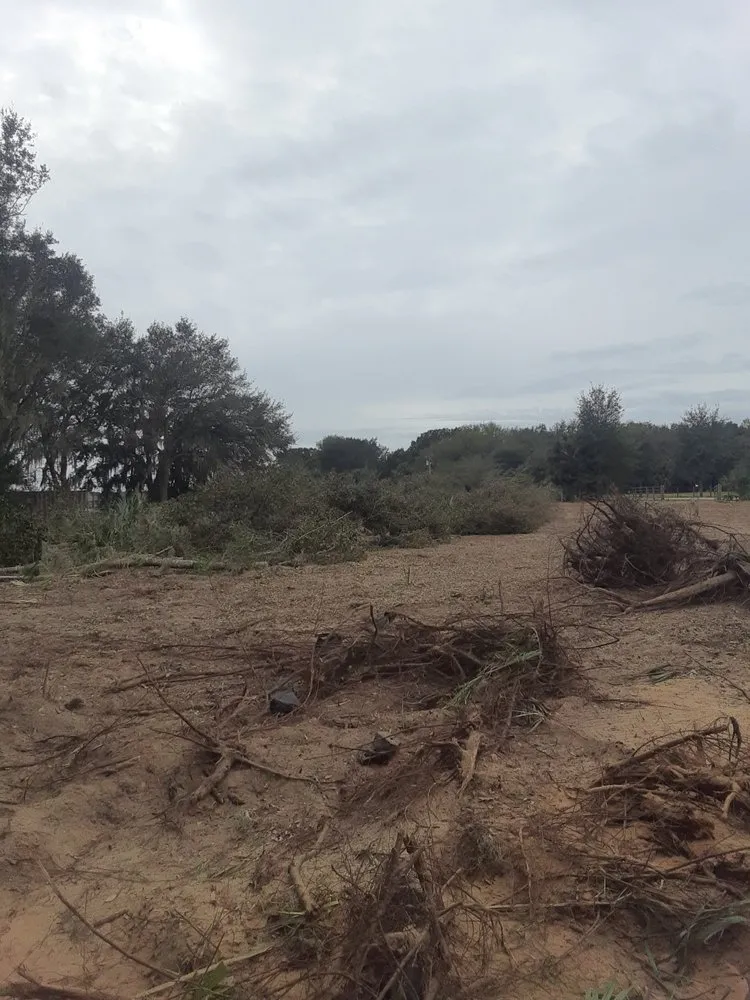 Expert landscape design for beautiful yards in Wauchula, FL by JBT land services