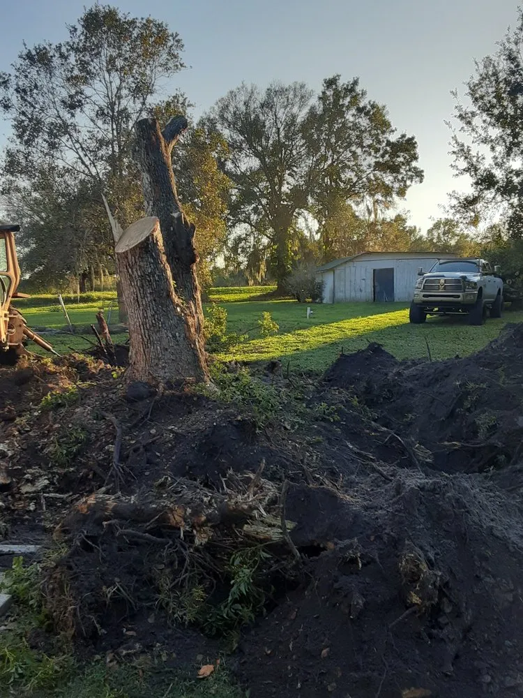 Custom yard maintenance in Wauchula, FL - JBT land services