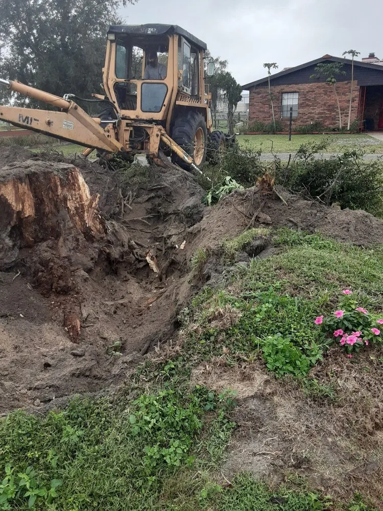 Affordable outdoor landscaping in Wauchula, FL - JBT land services