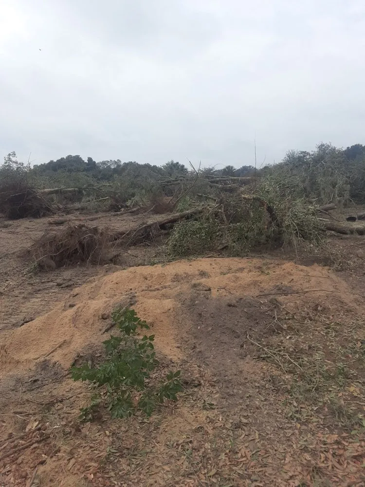 Affordable outdoor landscaping experts serving Wauchula, FL - JBT land services