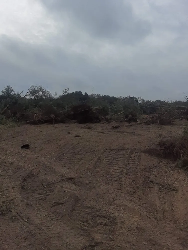 Top-rated landscape installation experts serving Wauchula, FL - JBT land services