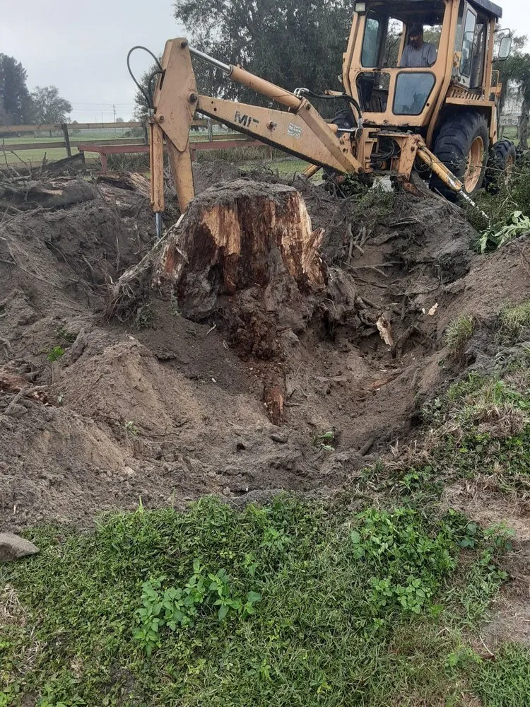 Professional lawn mowing service for year-round maintenance across Wauchula, FL - JBT land services