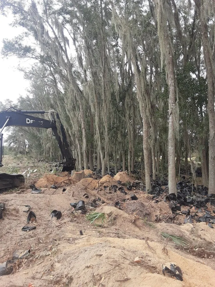 Top-rated landscape design in Wauchula, FL - JBT land services