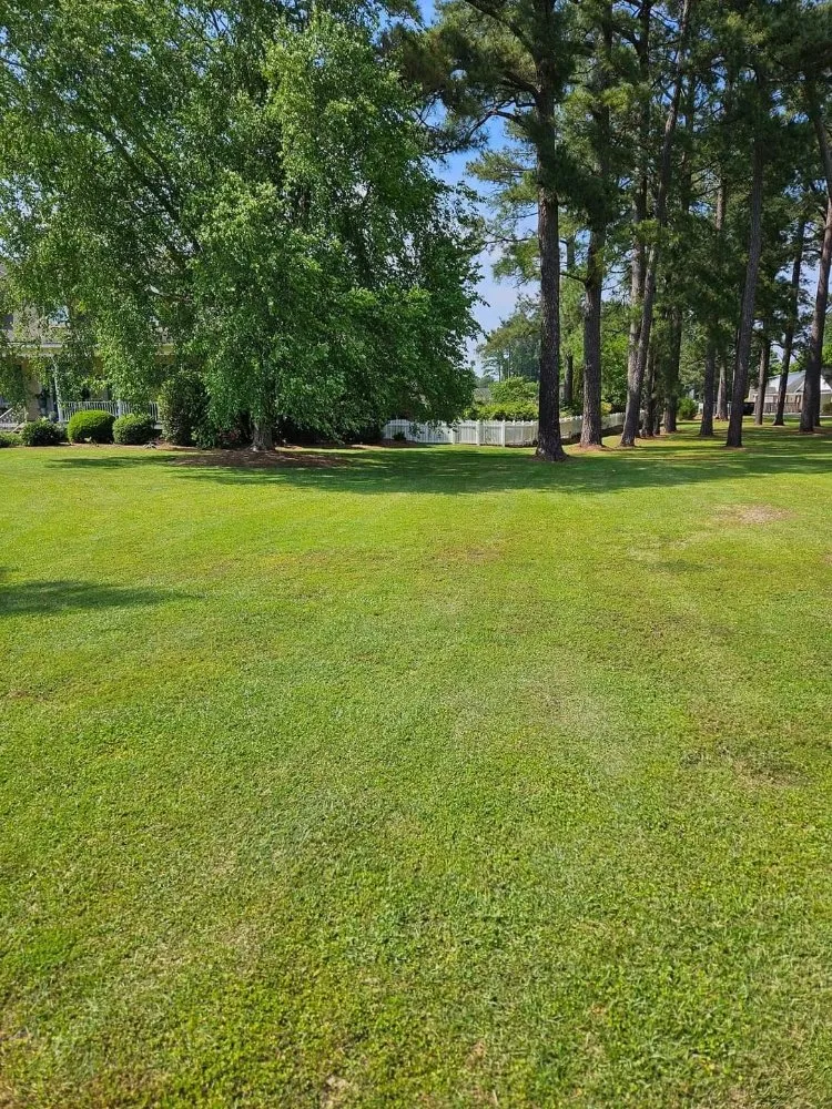 Custom lawn mowing service in Lake City, SC by JBug's Lawn Care Service