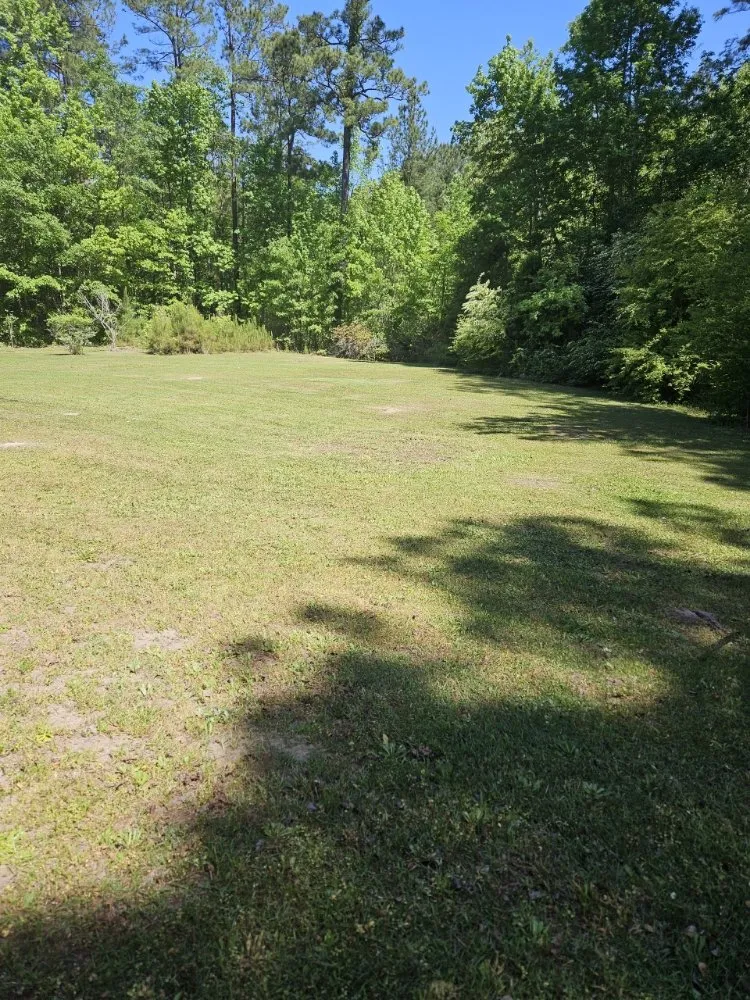 Local yard cleanup service for year-round maintenance in Lake City, SC by JBug's Lawn Care Service