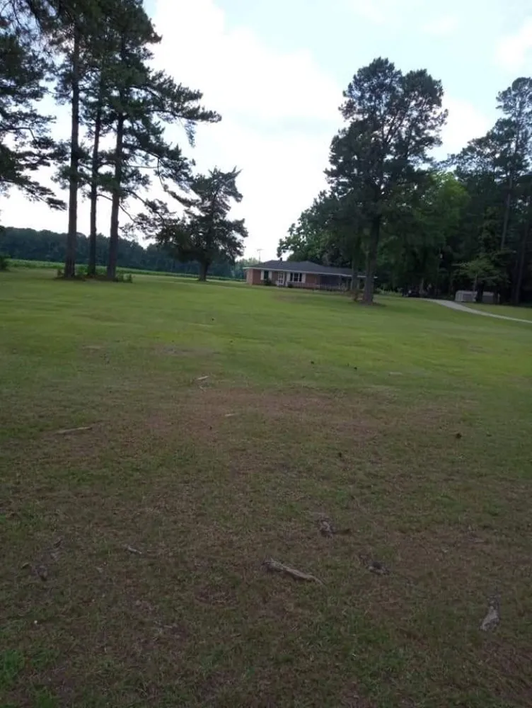 Affordable outdoor landscaping in Lake City, SC by JBug's Lawn Care Service