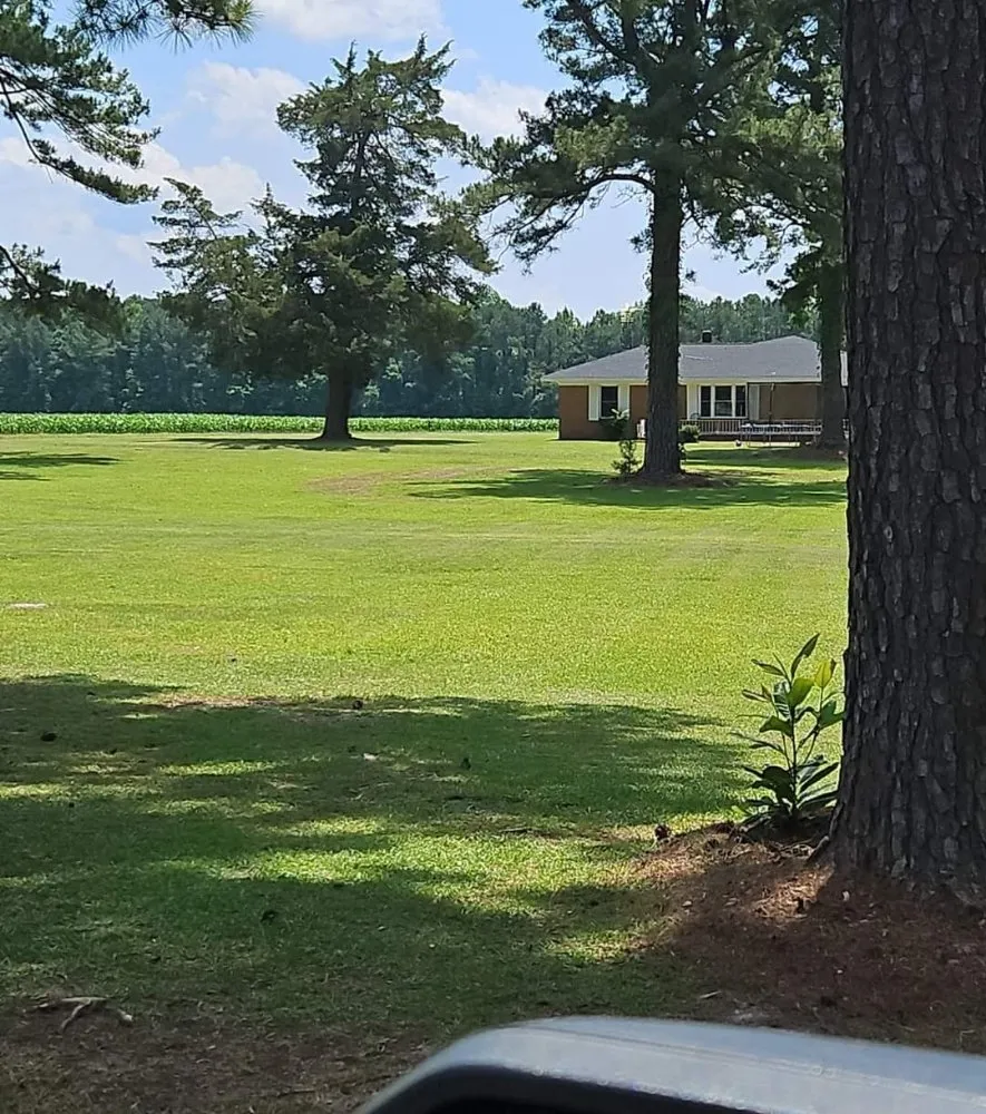 Affordable yard cleanup service in Lake City, SC by JBug's Lawn Care Service