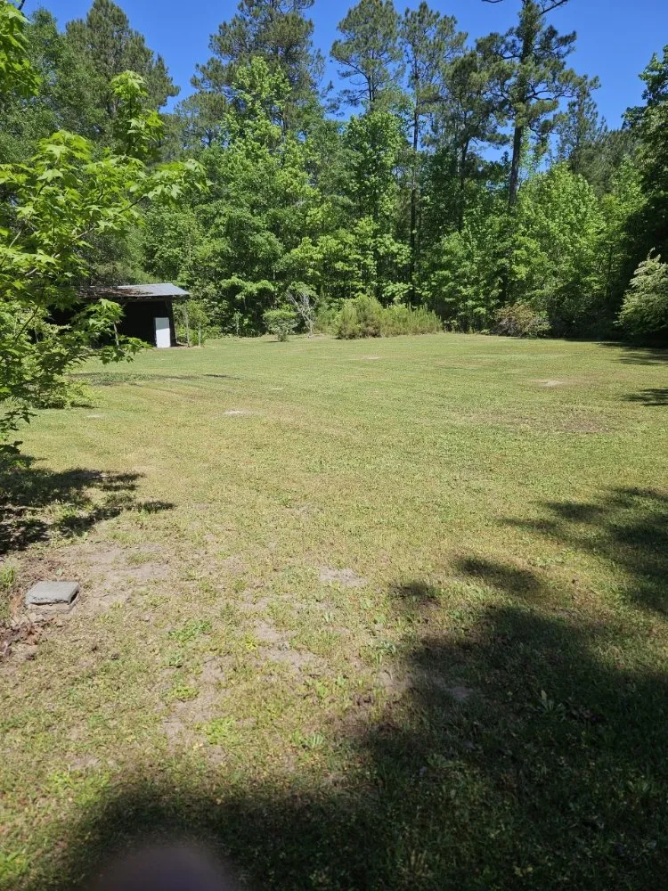 Professional lawn care service experts serving Lake City, SC - JBug's Lawn Care Service