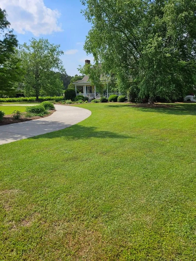 Affordable yard cleanup service for residential properties in Lake City, SC by JBug's Lawn Care Service