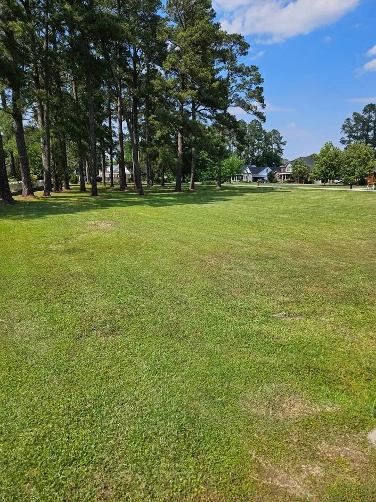 Expert residential landscaping experts serving Lake City, SC - JBug's Lawn Care Service