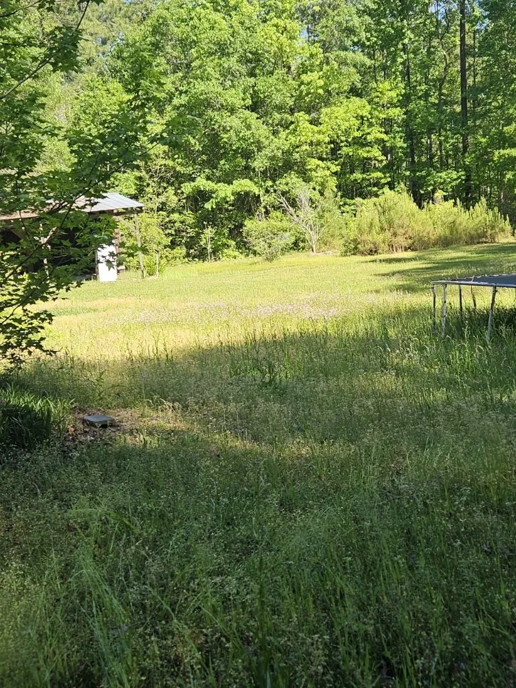 Top-rated residential landscaping in Lake City, SC - JBug's Lawn Care Service