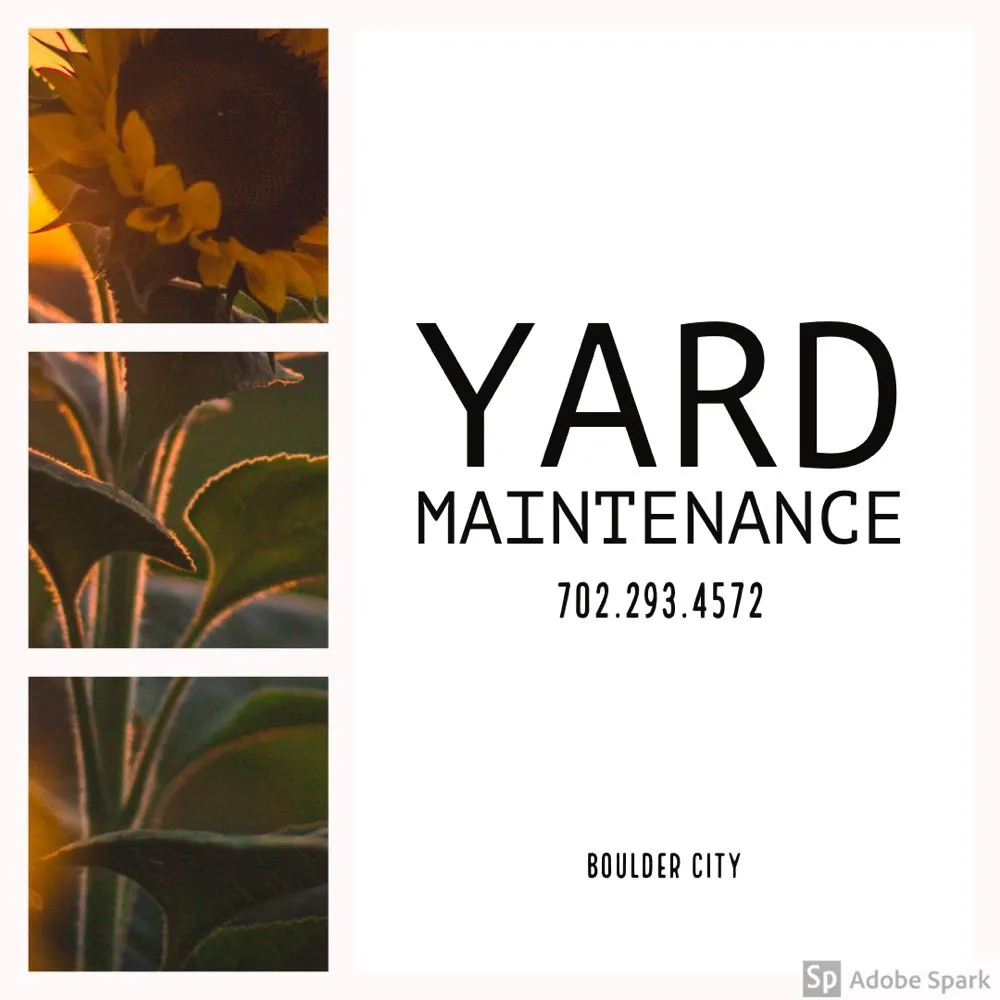 Top-rated landscape installation in Boulder City, NV by JC & Company Ground Maintenance Solutions