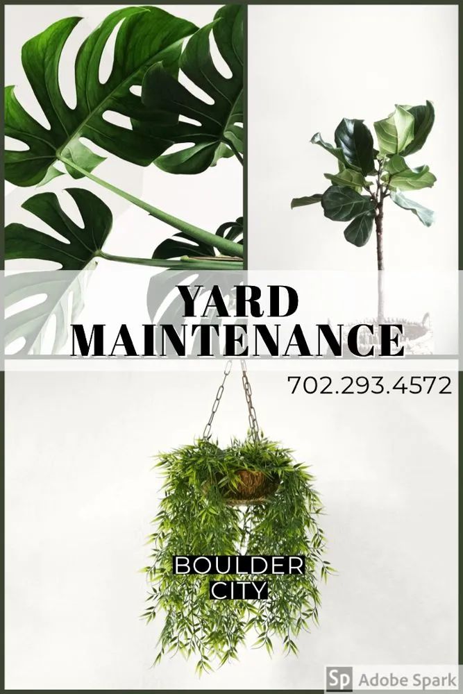 Professional yard cleanup service for beautiful yards in Boulder City, NV by JC & Company Ground Maintenance Solutions