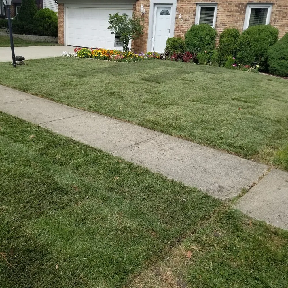 Custom garden landscaping in Glendale Heights, IL by JC & Son Landscaping