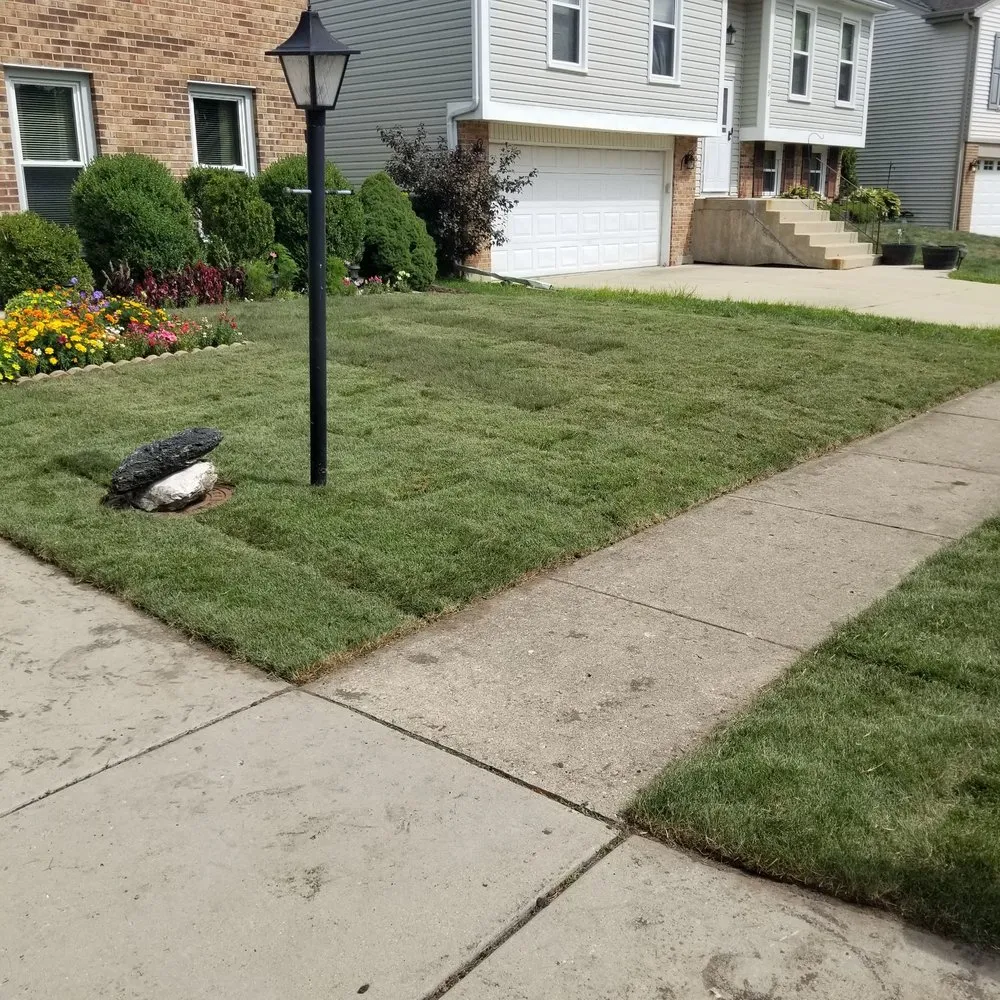 Reliable yard cleanup service experts serving Glendale Heights, IL - JC & Son Landscaping