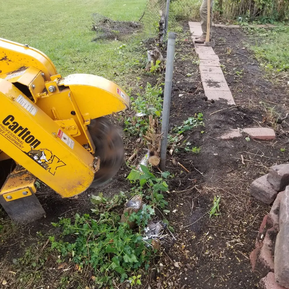Local landscaping services for beautiful yards across Glendale Heights, IL - JC & Son Landscaping