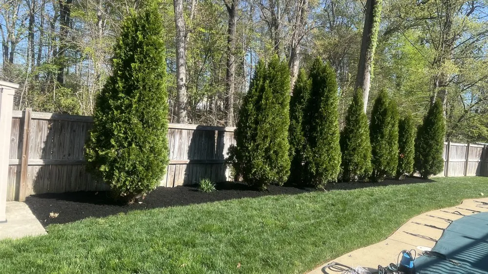 Professional lawn care service for outdoor upgrades in Temple Hills, MD by Jc & Son Landscaping Service