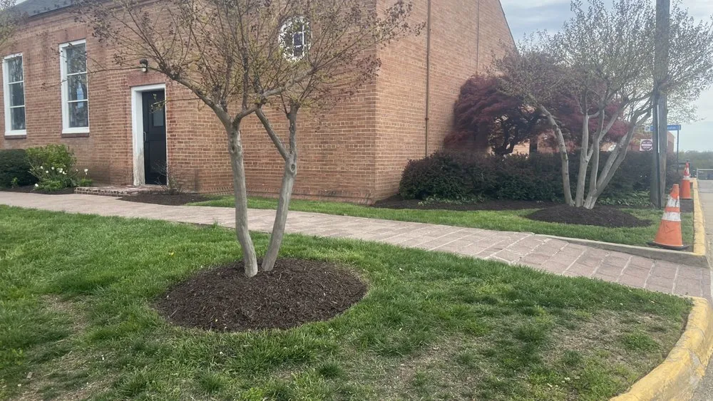 Professional garden landscaping in Temple Hills, MD by Jc & Son Landscaping Service