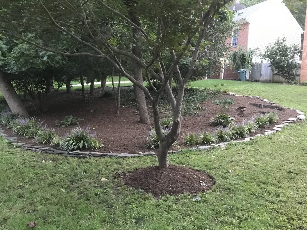 Local landscape design in Temple Hills, MD - Jc & Son Landscaping Service