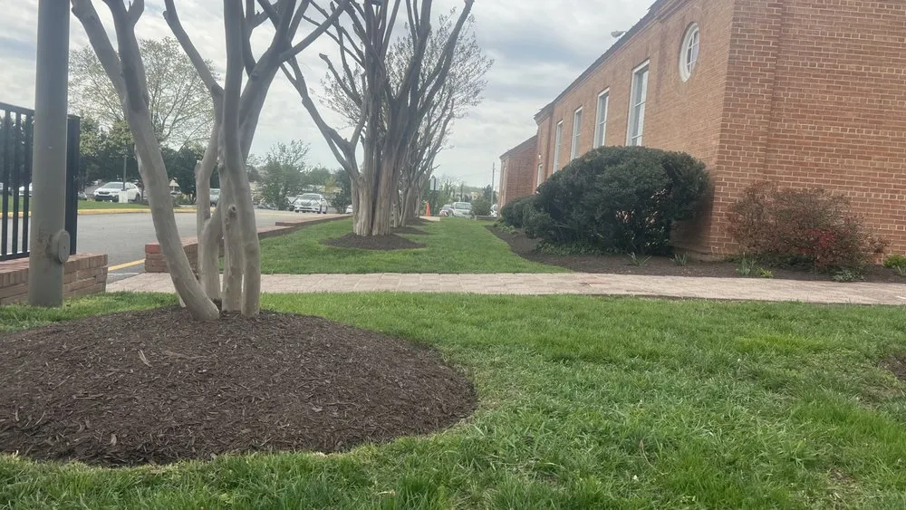 Professional lawn mowing service in Temple Hills, MD by Jc & Son Landscaping Service