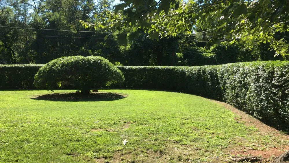 Local yard maintenance in Temple Hills, MD by Jc & Son Landscaping Service