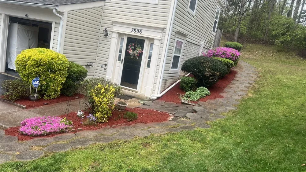 Expert yard cleanup service experts serving Temple Hills, MD - Jc & Son Landscaping Service