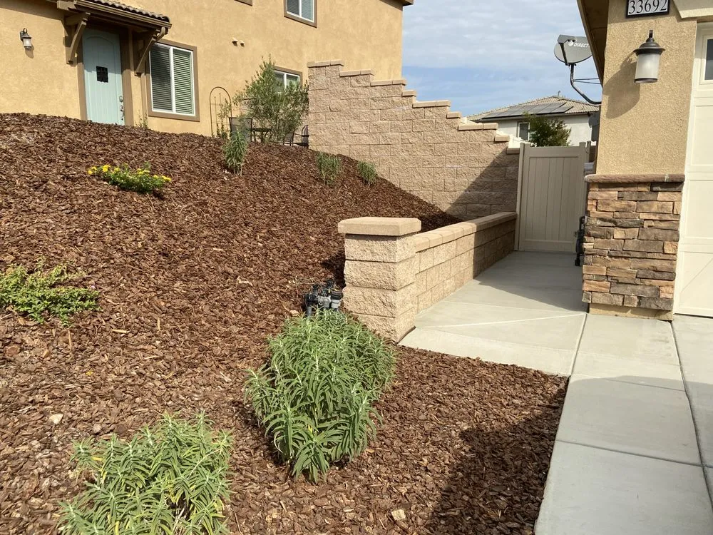Professional yard cleanup service for homes across Murrieta, CA - JC & Sons Landscaping