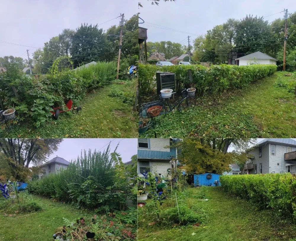 Trusted landscaping services for year-round maintenance in Ames, IA by J&C