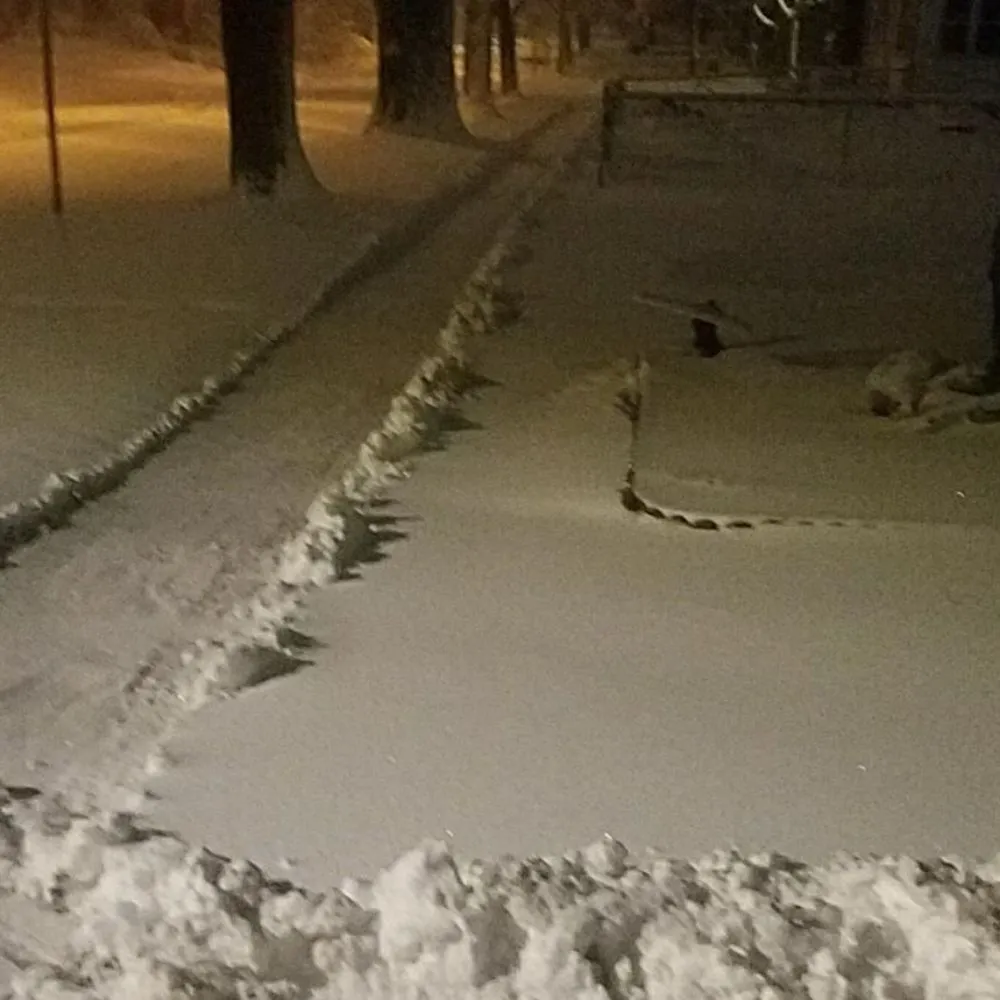 Local outdoor landscaping in Ames, IA by J&C