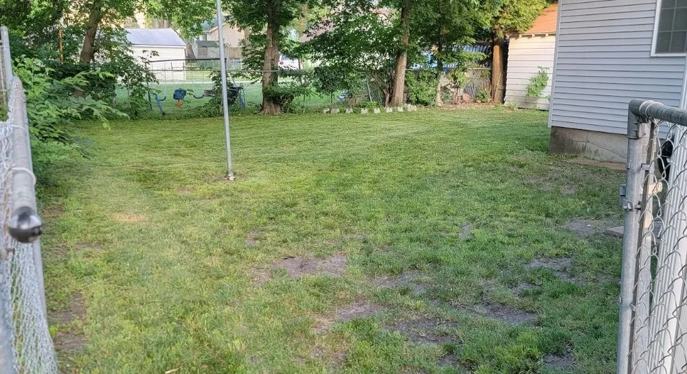 Custom lawn mowing service with custom design across Ames, IA - J&C