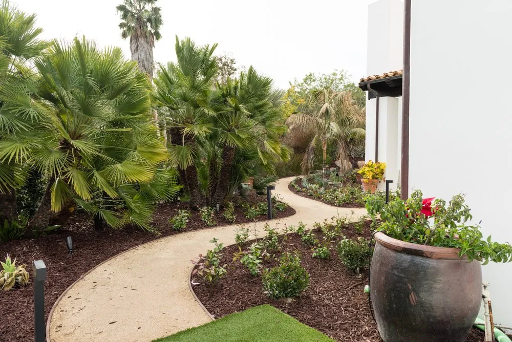 Professional yard maintenance for homes in Vista, CA by JC Bowers Landscaping & Tree Services