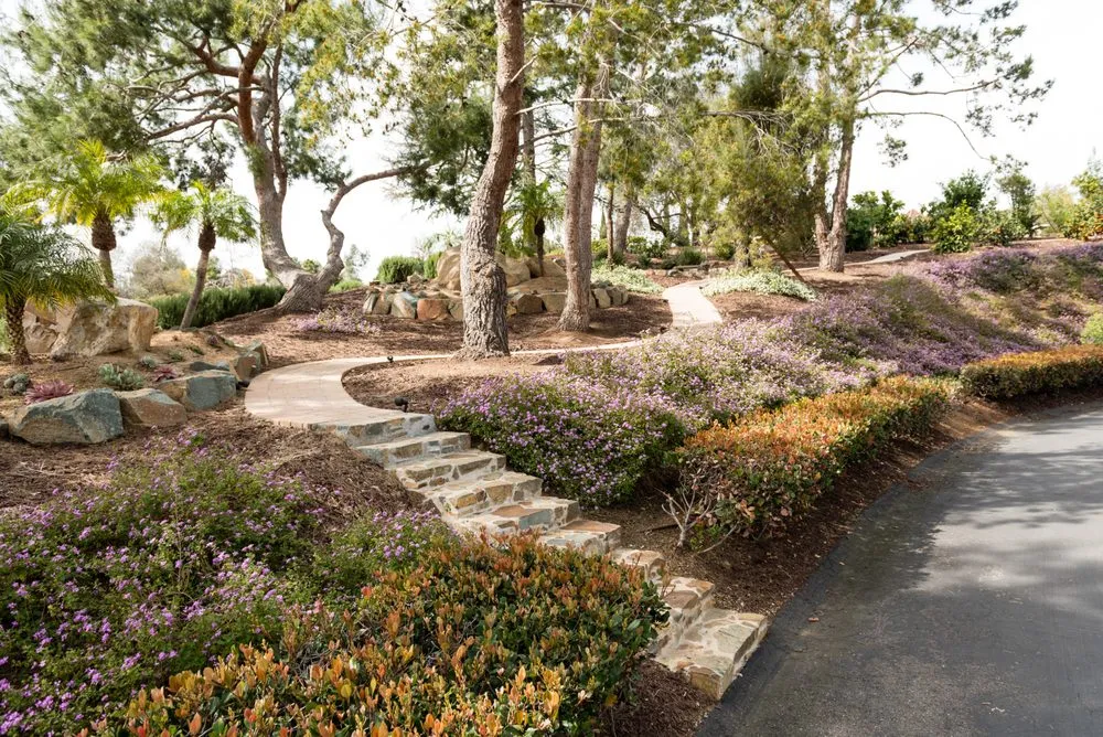 Affordable lawn care service for homes across Vista, CA - JC Bowers Landscaping & Tree Services