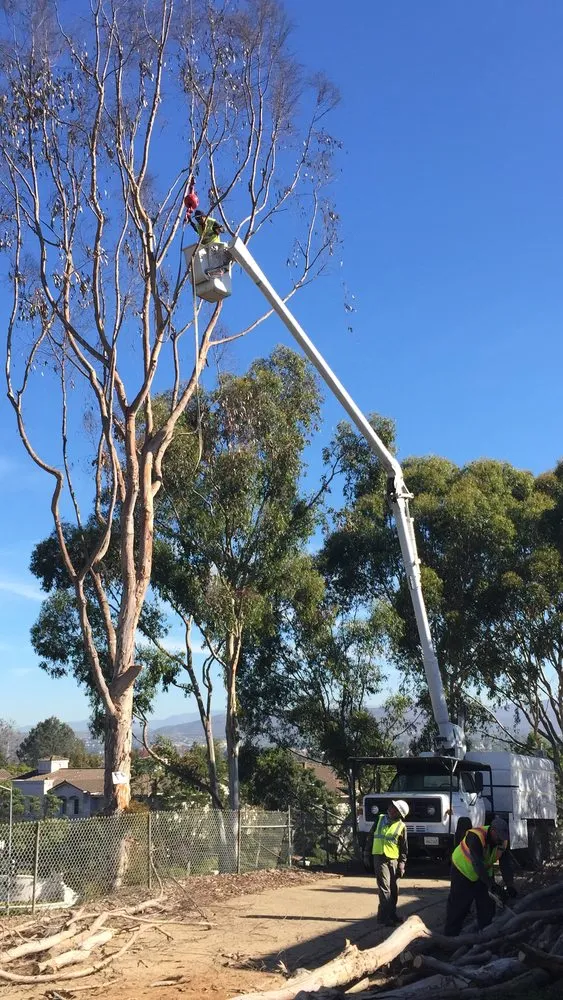 Reliable residential landscaping in Vista, CA by JC Bowers Landscaping & Tree Services