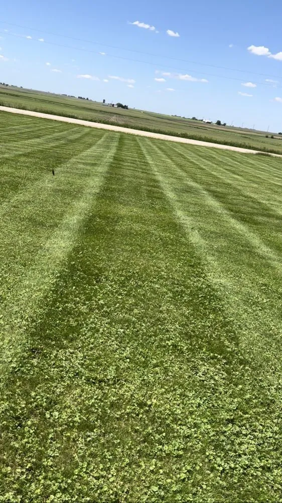 Top-rated landscape design for year-round maintenance across Kingston, IL - J&C Brothers Landscaping