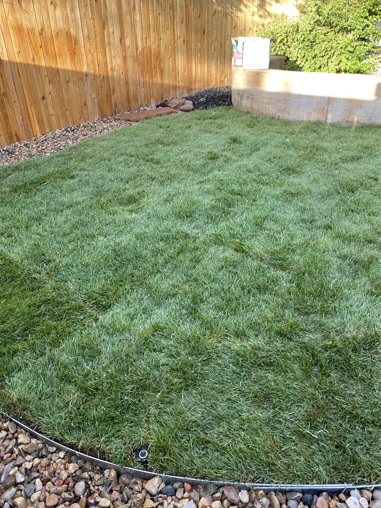 Professional landscape installation for outdoor upgrades in Aurora, CO by Jc Contractor