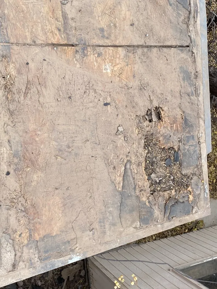 Expert outdoor landscaping in Anthony, TX by JC Contractors