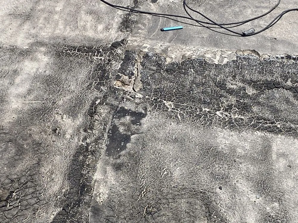 Reliable residential landscaping experts serving Anthony, TX - JC Contractors