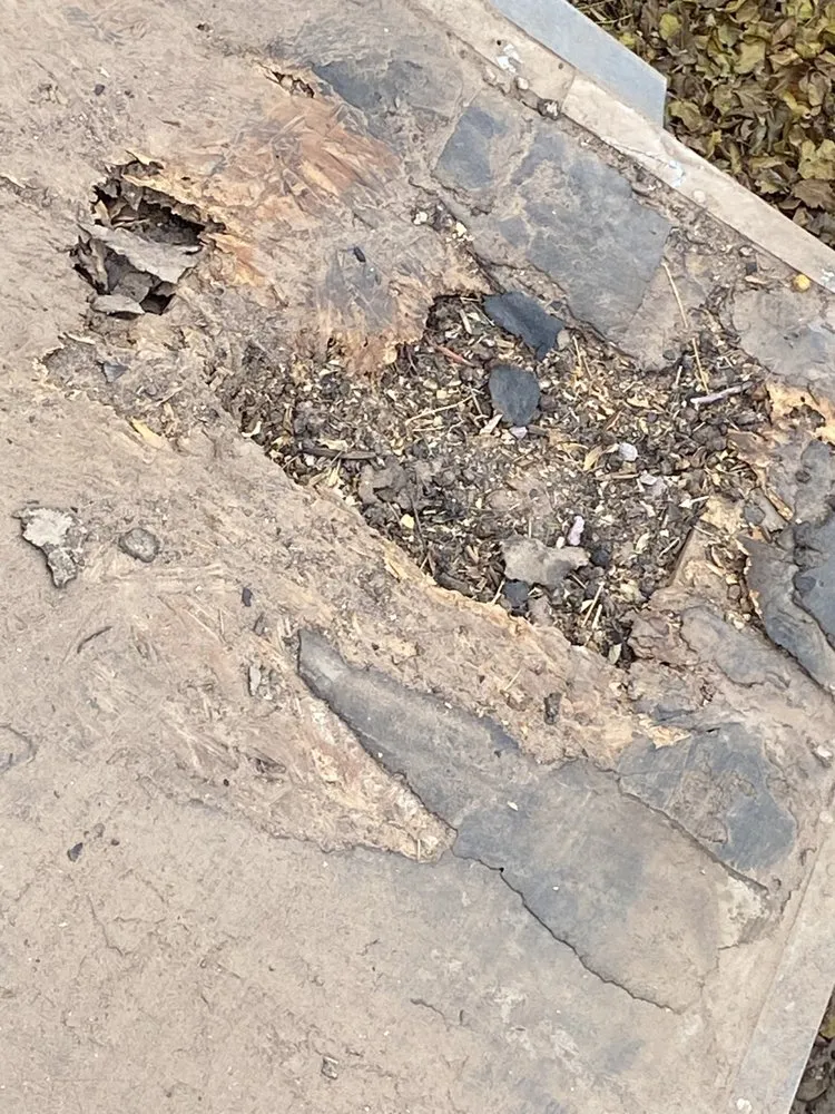 Expert landscape design in Anthony, TX - JC Contractors